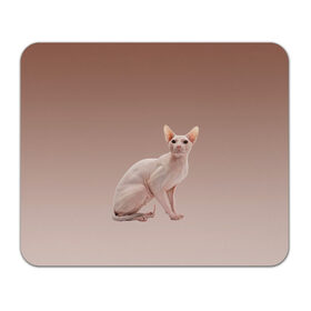 Коврик для мышки прямоугольный с принтом Лысый кот сфинкс в Санкт-Петербурге, натуральный каучук | размер 230 х 185 мм; запечатка лицевой стороны | арт | бежевый | без шерсти | градиент | домашний питомец | киса | кот | котейка | котенок | котик | котэ | кошка | лысый | реализм | складки кожи | сфинкс | экзотика