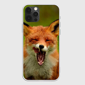 Чехол для iPhone 12 Pro Max с принтом Лисица в Санкт-Петербурге, Силикон |  | fox | foxy | животное | звери | лиса | лисенок | лисичка | милая | рыжая | фокс