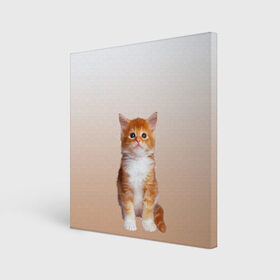 Холст квадратный с принтом бело-рыжий котенок реализм в Санкт-Петербурге, 100% ПВХ |  | cat | kitten | бело рыжий | градиент | кот | котейка | котенок | котеночек | котик | котофей | котэ | кошка | малыш | милаш | мяу | нэко | реализм | рыже белый