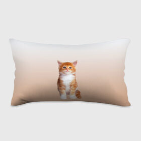 Подушка 3D антистресс с принтом бело-рыжий котенок реализм в Санкт-Петербурге, наволочка — 100% полиэстер, наполнитель — вспененный полистирол | состоит из подушки и наволочки на молнии | Тематика изображения на принте: cat | kitten | бело рыжий | градиент | кот | котейка | котенок | котеночек | котик | котофей | котэ | кошка | малыш | милаш | мяу | нэко | реализм | рыже белый