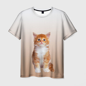 Мужская футболка 3D с принтом бело-рыжий котенок реализм в Санкт-Петербурге, 100% полиэфир | прямой крой, круглый вырез горловины, длина до линии бедер | cat | kitten | бело рыжий | градиент | кот | котейка | котенок | котеночек | котик | котофей | котэ | кошка | малыш | милаш | мяу | нэко | реализм | рыже белый