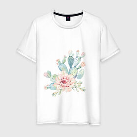 Мужская футболка хлопок с принтом цветущий кактус акварель в Санкт-Петербурге, 100% хлопок | прямой крой, круглый вырез горловины, длина до линии бедер, слегка спущенное плечо. | Тематика изображения на принте: акварель | акварельный | весна | кактус | мило | природа | растение | рисунок | суккулент | цветение | цветок | цветущий