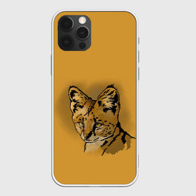 Чехол для iPhone 12 Pro Max с принтом Сервал в Санкт-Петербурге, Силикон |  | африка | графика | дикий мир | животное | кошка | персонаж | природа | рисунок | хищник