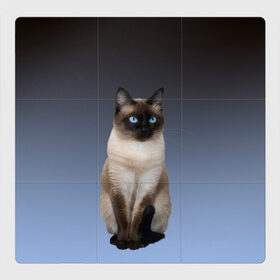 Магнитный плакат 3Х3 с принтом сиамская милая кошечка в Санкт-Петербурге, Полимерный материал с магнитным слоем | 9 деталей размером 9*9 см | Тематика изображения на принте: cat | kitten | голубые глаза | градиент | кот | котейка | котик | кошечка | кошка | милая | мяу | сиамская | сиамский