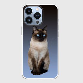 Чехол для iPhone 13 Pro с принтом сиамская милая кошечка в Санкт-Петербурге,  |  | cat | kitten | голубые глаза | градиент | кот | котейка | котик | кошечка | кошка | милая | мяу | сиамская | сиамский