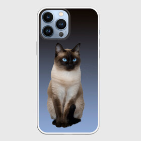 Чехол для iPhone 13 Pro Max с принтом сиамская милая кошечка в Санкт-Петербурге,  |  | cat | kitten | голубые глаза | градиент | кот | котейка | котик | кошечка | кошка | милая | мяу | сиамская | сиамский