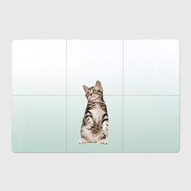 Магнитный плакат 3Х2 с принтом котенок на задних лапках в Санкт-Петербурге, Полимерный материал с магнитным слоем | 6 деталей размером 9*9 см | cat | kitten | выпрашивает | градиент | зеленый | короткошерстный | кот | котейка | котик | кошка | мяу | полоски | просит | реалистичный | смотрит вверх | стоит | тянется | удивленный