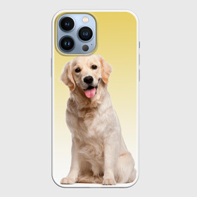 Чехол для iPhone 13 Pro Max с принтом Лабрадор ретривер пес в Санкт-Петербурге,  |  | домашние любимцы | друг | животные | золотистый ретривер | лабрадор | пес | питомец | породистый | собака