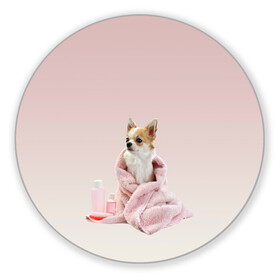 Коврик для мышки круглый с принтом собачка полотенце процедуры  в Санкт-Петербурге, резина и полиэстер | круглая форма, изображение наносится на всю лицевую часть | ванна | выходной | градиент | душ | забота и теле | любовь к себе | мини собака | полотенце | процедуры | розовый | собака | собачка | спа | уход | чихуахуа | чихуашка | щенок