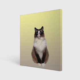 Холст квадратный с принтом персидская пушистая кошка в Санкт-Петербурге, 100% ПВХ |  | ветеринар | градиент | домашний питомец | котейка | котик | коты | котэ | кошатник | кошатница | кошачьи | кошки | любитель животных | мяу | нэко | персидская | сиамская | смесь | шаблон