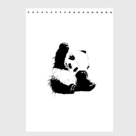 Скетчбук с принтом Панда минимализм в Санкт-Петербурге, 100% бумага
 | 48 листов, плотность листов — 100 г/м2, плотность картонной обложки — 250 г/м2. Листы скреплены сверху удобной пружинной спиралью | animal | bear | beast | black | minimalism | panda | white | белое | животное | зверь | краски | медведь | минимализм | панда | чернила | черно белое | черное