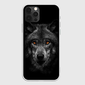 Чехол для iPhone 12 Pro Max с принтом Evil Wolf в Санкт-Петербурге, Силикон |  | animal | beast | dark | darkness | evil | moon | nigth | tegunvteg | werwolf | wild | wolf | вервольф | вой | волк | волки | волчара | дикий | животное | зверь | клык | клыки | луна | ночь | оборотень | полнолуние