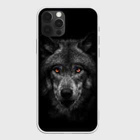 Чехол для iPhone 12 Pro Max с принтом Evil Wolf в Санкт-Петербурге, Силикон |  | Тематика изображения на принте: animal | beast | dark | darkness | evil | moon | nigth | tegunvteg | werwolf | wild | wolf | вервольф | вой | волк | волки | волчара | дикий | животное | зверь | клык | клыки | луна | ночь | оборотень | полнолуние