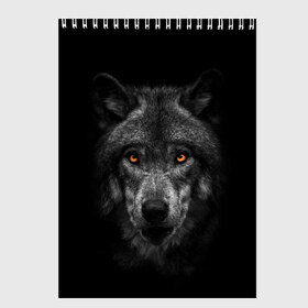 Скетчбук с принтом Evil Wolf в Санкт-Петербурге, 100% бумага
 | 48 листов, плотность листов — 100 г/м2, плотность картонной обложки — 250 г/м2. Листы скреплены сверху удобной пружинной спиралью | animal | beast | dark | darkness | evil | moon | nigth | tegunvteg | werwolf | wild | wolf | вервольф | вой | волк | волки | волчара | дикий | животное | зверь | клык | клыки | луна | ночь | оборотень | полнолуние