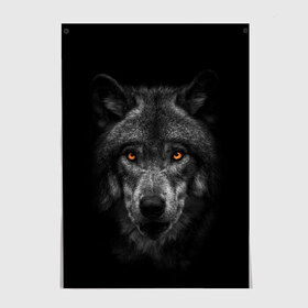 Постер с принтом Evil Wolf в Санкт-Петербурге, 100% бумага
 | бумага, плотность 150 мг. Матовая, но за счет высокого коэффициента гладкости имеет небольшой блеск и дает на свету блики, но в отличии от глянцевой бумаги не покрыта лаком | animal | beast | dark | darkness | evil | moon | nigth | tegunvteg | werwolf | wild | wolf | вервольф | вой | волк | волки | волчара | дикий | животное | зверь | клык | клыки | луна | ночь | оборотень | полнолуние