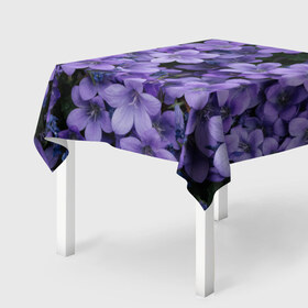 Скатерть 3D с принтом Фиолетовый цвет весны в Санкт-Петербурге, 100% полиэстер (ткань не мнется и не растягивается) | Размер: 150*150 см | art | casual | весенний | весна | градиент | зелень | растения | структура | текстура | цветы