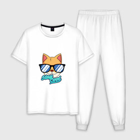 Мужская пижама хлопок с принтом Очковая кошка в Санкт-Петербурге, 100% хлопок | брюки и футболка прямого кроя, без карманов, на брюках мягкая резинка на поясе и по низу штанин
 | Тематика изображения на принте: домашняя кошка | кошка | мелус кот | милый кот | мышка | очки | очковая кошка | французская кошка