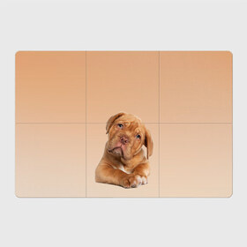 Магнитный плакат 3Х2 с принтом питбуль в Санкт-Петербурге, Полимерный материал с магнитным слоем | 6 деталей размером 9*9 см | ветеринару | гав | животные домашние | любителю собак | млекопитающее | мопс | мультипликационный персонаж | мультяшная собака | песики | питбуль | питомцы | псы | собакены | собаки | собачки