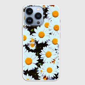 Чехол для iPhone 13 Pro с принтом Ромашки в Санкт-Петербурге,  |  | 2021 | бабочка | весенняя | весна | вишня | вселенная | коронавирус | космос | лето | лилия | мимоза | океан | отпуск | роза | розы | ромашка | ромашки | с бабочками | с цветами | сад | сакура | фиалка
