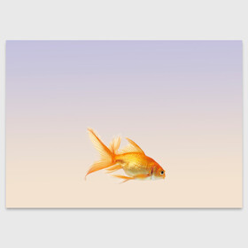 Поздравительная открытка с принтом золотая рыбка в Санкт-Петербурге, 100% бумага | плотность бумаги 280 г/м2, матовая, на обратной стороне линовка и место для марки
 | аквариум | градиент | золотая рыбка | подводный мир | рыба | рыбешка | рыбка