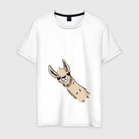 Мужская футболка хлопок с принтом Лама в Санкт-Петербурге, 100% хлопок | прямой крой, круглый вырез горловины, длина до линии бедер, слегка спущенное плечо. | альпака | лама | любопытная лама | улыбающаяся лама
