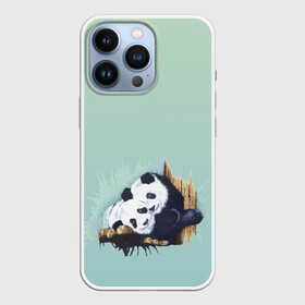 Чехол для iPhone 13 Pro с принтом акварельные панды в Санкт-Петербурге,  |  | акварель | двое | животные | звери | мило | мишки | обнимашки | панды | пара | природа | рисунок
