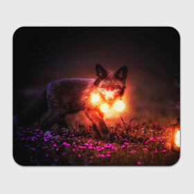 Коврик для мышки прямоугольный с принтом Лисица с фонариками в Санкт-Петербурге, натуральный каучук | размер 230 х 185 мм; запечатка лицевой стороны | fox | foxy | животное | звери | лиса | лисенок | лисичка | милая | рыжая | фокс