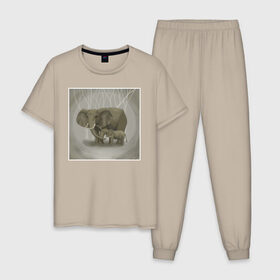 Мужская пижама хлопок с принтом Слоны в Санкт-Петербурге, 100% хлопок | брюки и футболка прямого кроя, без карманов, на брюках мягкая резинка на поясе и по низу штанин
 | иллюстрация | рисунок | серый | слон | слоненок