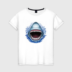 Женская футболка хлопок с принтом АКУЛА ЧЕЛЮСТИ в Санкт-Петербурге, 100% хлопок | прямой крой, круглый вырез горловины, длина до линии бедер, слегка спущенное плечо | fish | jaws | megalodon | shark | teeth | white shark | акула | белая акула | зубы | клыки | мегалодон | пасть | рот | рыба | челюсти
