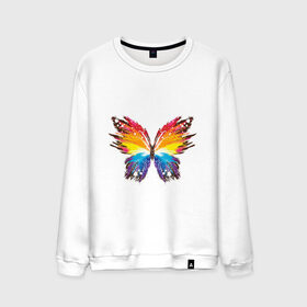 Мужской свитшот хлопок с принтом бабочка краской в Санкт-Петербурге, 100% хлопок |  | бабочка | беспозвоночные | брызги | градиент | краска | красочная | крылья | лето | мотыльки и бабочки | насекомое | насекомые | радуга | ярко