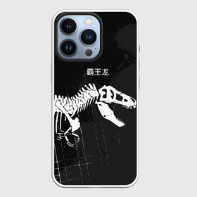 Чехол для iPhone 13 Pro с принтом T rex в Санкт-Петербурге,  |  | t rex | динозавр | древний | иероглифы | краска | разводы | скелет | тиранозавр | череп