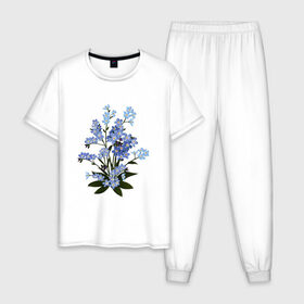 Мужская пижама хлопок с принтом Незабудка в Санкт-Петербурге, 100% хлопок | брюки и футболка прямого кроя, без карманов, на брюках мягкая резинка на поясе и по низу штанин
 | весна | картинки | лето | незабудка | популярные | прикольные | тренд | цветы