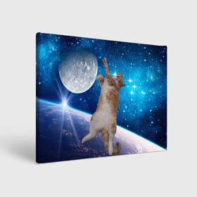 Холст прямоугольный с принтом Кисулькин в космосе в Санкт-Петербурге, 100% ПВХ |  | Тематика изображения на принте: астроном пушистый | барсик | звезды | космос | котики | коты