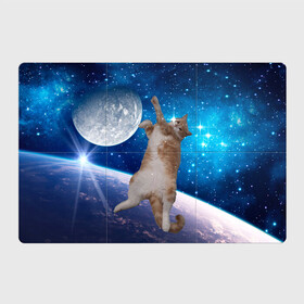 Магнитный плакат 3Х2 с принтом Кисулькин в космосе в Санкт-Петербурге, Полимерный материал с магнитным слоем | 6 деталей размером 9*9 см | Тематика изображения на принте: астроном пушистый | барсик | звезды | космос | котики | коты