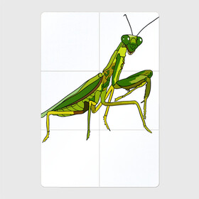 Магнитный плакат 2Х3 с принтом Богомол в Санкт-Петербурге, Полимерный материал с магнитным слоем | 6 деталей размером 9*9 см | Тематика изображения на принте: animals | insect | mantis | nature | summer | богомол | весна | дикие | животные | жуки | звери | зеленый богомол | клещни | комары | кузнечики | лапки | лето | мухи | насекомое | природа | самка | стрекоза | существа | усики