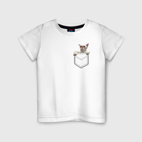 Детская футболка хлопок с принтом Мокрый Кот в Кармане в Санкт-Петербурге, 100% хлопок | круглый вырез горловины, полуприлегающий силуэт, длина до линии бедер | в кармане | животные | звери | котенок | кошка | лапки | мокрый | прикол