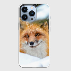 Чехол для iPhone 13 Pro с принтом Лисичка на сугробе в Санкт-Петербурге,  |  | fox | foxy | животное | звери | лиса | лисенок | лисичка | милая | рыжая | фокс