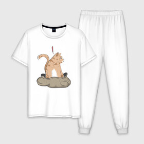 Мужская пижама хлопок с принтом Кот в мешке в Санкт-Петербурге, 100% хлопок | брюки и футболка прямого кроя, без карманов, на брюках мягкая резинка на поясе и по низу штанин
 | cat | кот в мешке | кот из мема | рыжий котик | удивленный кошак