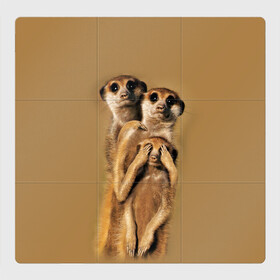 Магнитный плакат 3Х3 с принтом Сурикаты в Санкт-Петербурге, Полимерный материал с магнитным слоем | 9 деталей размером 9*9 см | Тематика изображения на принте: животные | прикол | прикольные животные | природа | смешные | смешные животные | сурикат