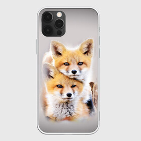 Чехол для iPhone 12 Pro Max с принтом Лисята в Санкт-Петербурге, Силикон |  | детеныши | животные | лиса | лисенок | лисичка | лисята | природа | рыжая
