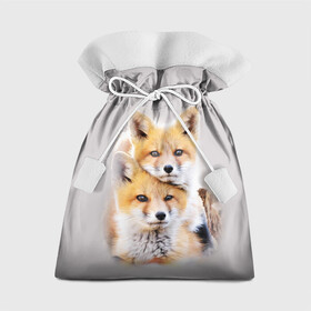Подарочный 3D мешок с принтом Лисята в Санкт-Петербурге, 100% полиэстер | Размер: 29*39 см | детеныши | животные | лиса | лисенок | лисичка | лисята | природа | рыжая