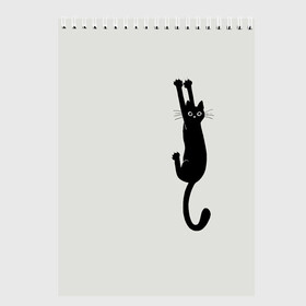 Скетчбук с принтом Испуганный кот в Санкт-Петербурге, 100% бумага
 | 48 листов, плотность листов — 100 г/м2, плотность картонной обложки — 250 г/м2. Листы скреплены сверху удобной пружинной спиралью | animal | beast | cat | claws | fright | frightened | kitten | look | surprise | surprised | взгляд | животное | зверь | испуг | испуганный | когти | кот | котенок | кошка | удивление | удивленный
