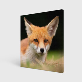 Холст квадратный с принтом Мордочка лисицы в Санкт-Петербурге, 100% ПВХ |  | fox | foxy | животное | звери | лиса | лисенок | лисичка | милая | рыжая | фокс