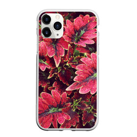 Чехол для iPhone 11 Pro матовый с принтом Красные листья в Санкт-Петербурге, Силикон |  | алый | красные листья | листопад | листья | осень | пурпурный | растение | текстуры | узор | экзотически растения