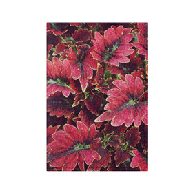 Обложка для паспорта матовая кожа с принтом Красные листья в Санкт-Петербурге, натуральная матовая кожа | размер 19,3 х 13,7 см; прозрачные пластиковые крепления | алый | красные листья | листопад | листья | осень | пурпурный | растение | текстуры | узор | экзотически растения