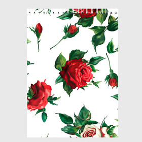 Скетчбук с принтом Розы в Санкт-Петербурге, 100% бумага
 | 48 листов, плотность листов — 100 г/м2, плотность картонной обложки — 250 г/м2. Листы скреплены сверху удобной пружинной спиралью | арт | белая роза | белые розы | белые цветы | белый цветок | большие цветы | большой цветок | красная роза | красные розы | красные цветы | красный цветок | поле | поле цветов | рисунок | роза | розы