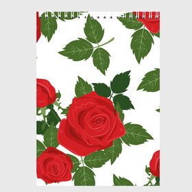 Скетчбук с принтом Большие розы в Санкт-Петербурге, 100% бумага
 | 48 листов, плотность листов — 100 г/м2, плотность картонной обложки — 250 г/м2. Листы скреплены сверху удобной пружинной спиралью | арт | белый | большие бутоны | большие розы | большой бутон | зелёный | красная роза | красные розы | красные цветы | красный | красный цветок | листок | листья | поле | поле цветов | рисунок | роза