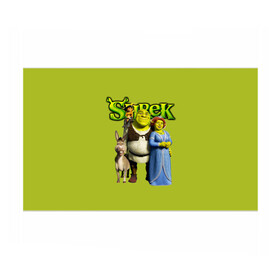 Бумага для упаковки 3D с принтом Шрек/Shrek в Санкт-Петербурге, пластик и полированная сталь | круглая форма, металлическое крепление в виде кольца | cartoon | fiona | shrek | болото | детям | комедия | кот в сапогах | мультик | огр | осел | персонажи мультфильмов | тролль | фиона | шрек