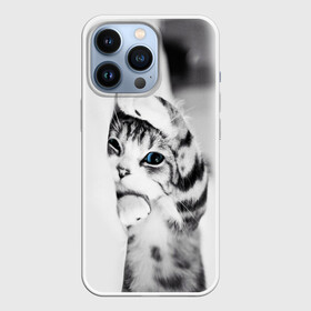 Чехол для iPhone 13 Pro с принтом МИЛЫЙ КОТЕНОК  CUTE KITTEN в Санкт-Петербурге,  |  | животные | кот | котенок | котеночек | кошка | милый