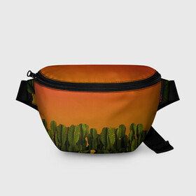 Поясная сумка 3D с принтом Кактусы на закате в Санкт-Петербурге, 100% полиэстер | плотная ткань, ремень с регулируемой длиной, внутри несколько карманов для мелочей, основное отделение и карман с обратной стороны сумки застегиваются на молнию | восход | закат | кактусы | пейзаж | пустыня | растения